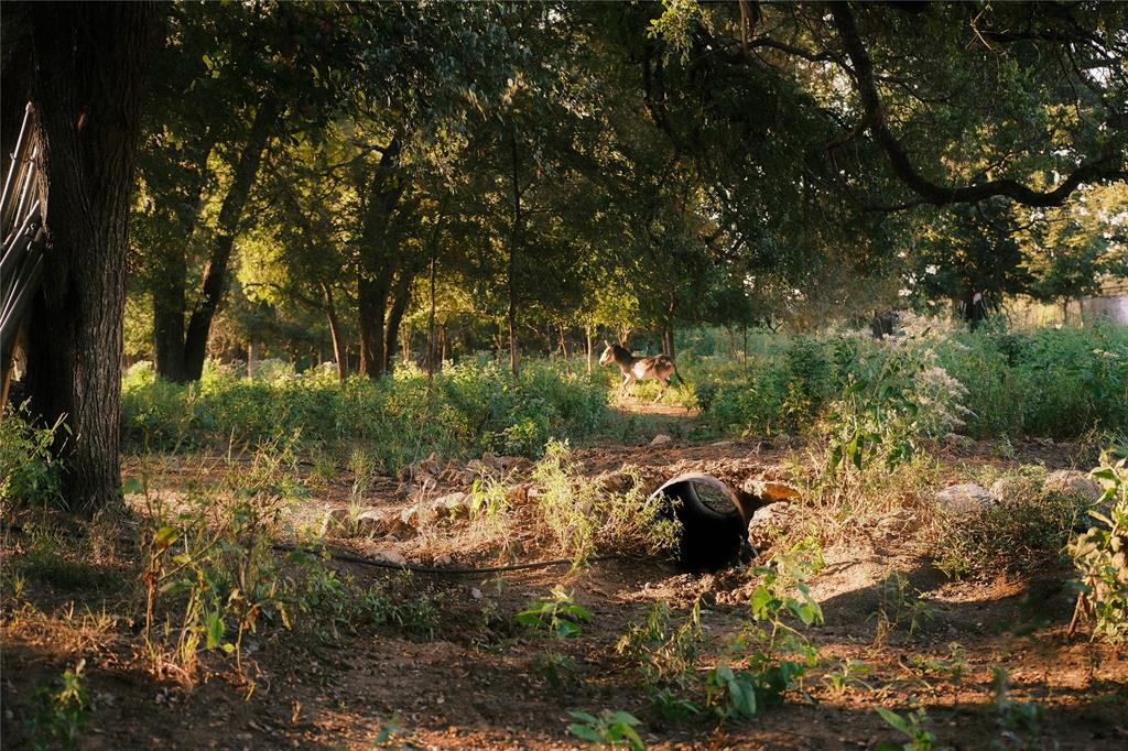 Aquilla Creek Estate - Land