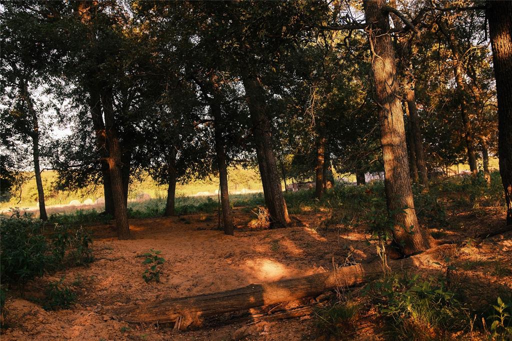 Aquilla Creek Estate - Land