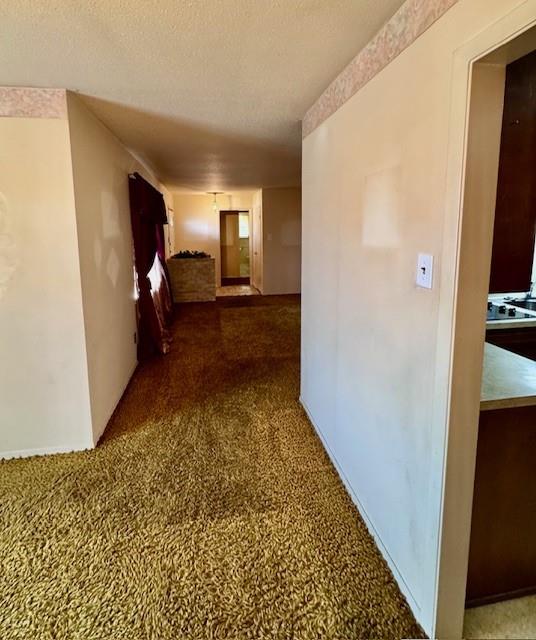 1217 Scott Drive
