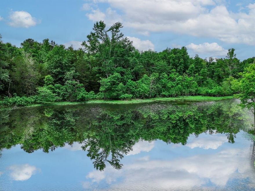 This property is 163 acres of beautiful trees, hay meadows, grassland and plenty of ponds and a natural spring for an abundance of water for cattle and wild life.

The property has 4 ponds which includes 1 natural spring and a 5-acre pond filled with bigmouth bass, catfish, croppie and brim.

Wildlife available from this property includes deer, hogs, bobcats, coyotes, fox, armadillos, rabbits, squirrels, and raccoons.

Birds include dove for seasonal hunting, hawks, roadrunners, cardinals, as well as ducks in the pond.

Currently this farm is set up for hunting and cattle operations with a pole barn 30’X60’ for storage of hay, large pipe with sucker rod coral for working cattle, and a reinforced concrete slab 20’x40’ metal building with roll up door and walk in side door for storage.

Water is supplied by Walston Springs Water Supply.

Power is on the power pole in the front of the property.

Fiber optics is supplied on the front of the property.