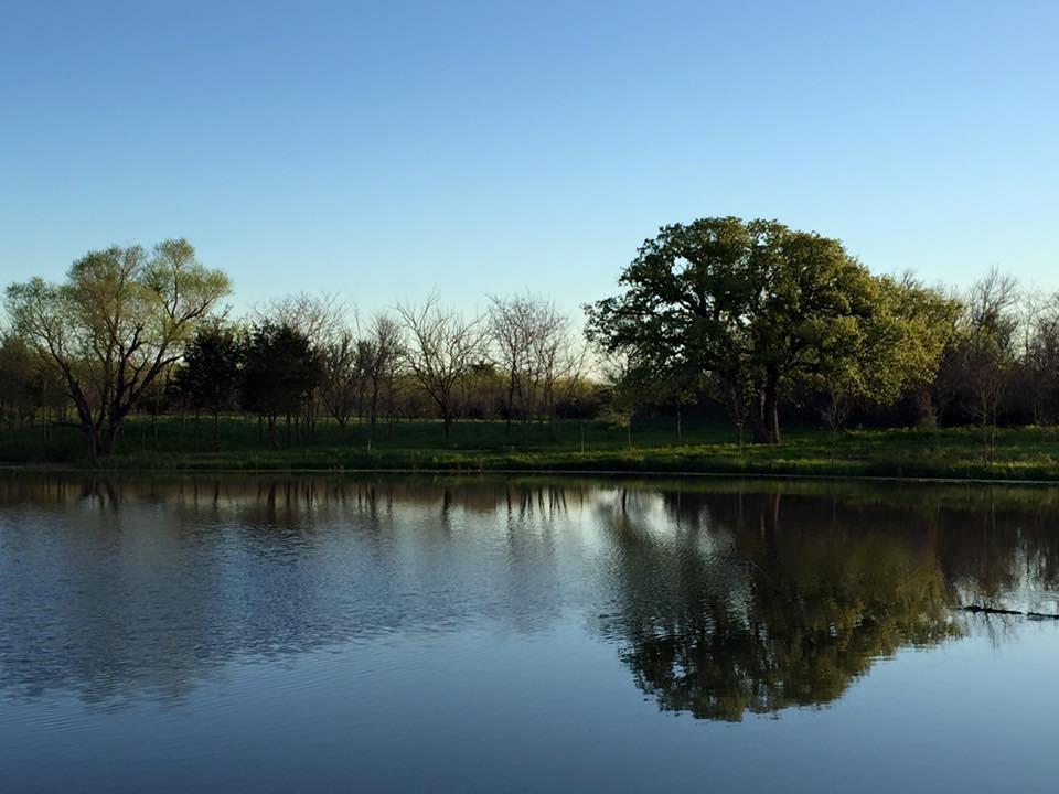 Vista Oaks Estates - Land