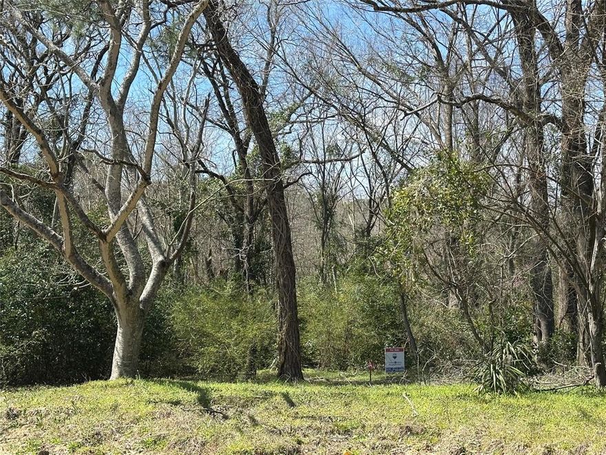 7.5383 acres of prime land in Tyler just South of Jeff Davis Drive. Whitehouse ISD, Wide range of uses for this land currently zoned AG-Agricultural, could be commercial or industrial.