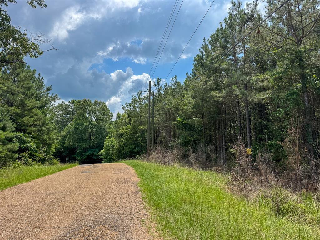 T-2 Blade Loop Road