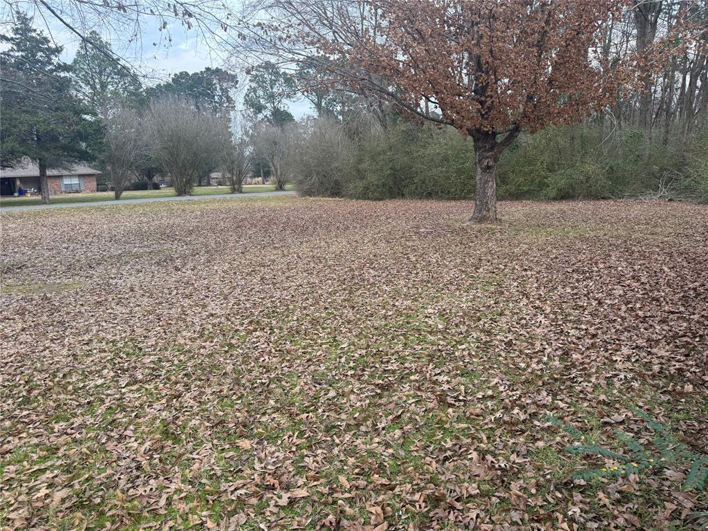 Chanticleer Fighting Cock Un - Residential