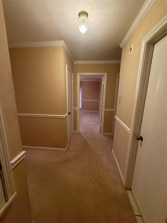 Chanticleer Fighting Cock Un - Residential