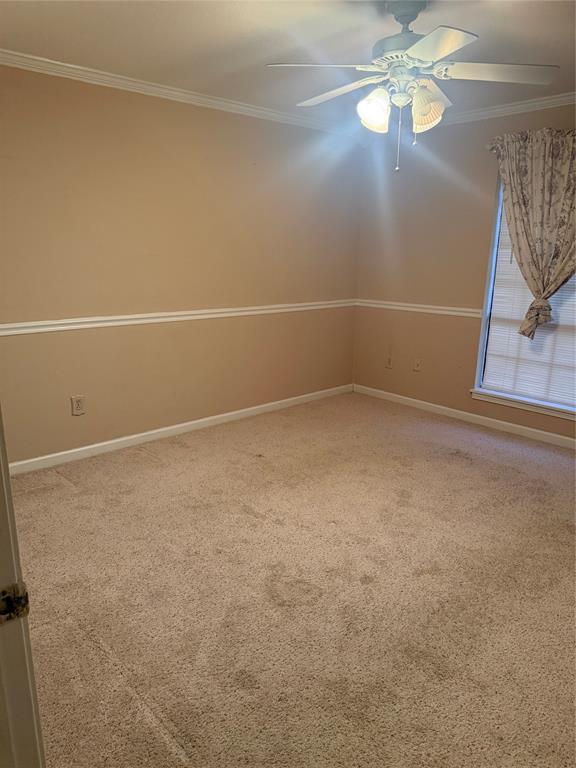 Chanticleer Fighting Cock Un - Residential