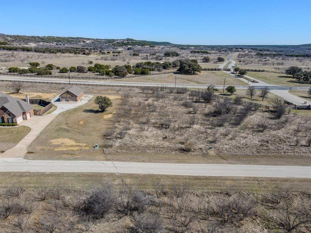 Lot 1009 Turtle Dove