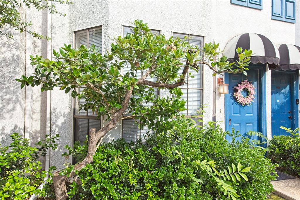 Dallas, Texas 75235, United States, 2 Bedrooms Bedrooms, ,2 BathroomsBathrooms,Residential,Active,131060