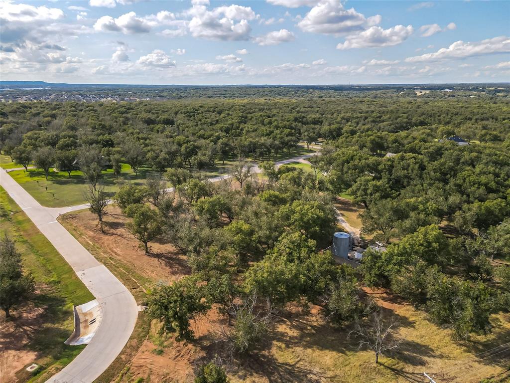 Pecan Plantation - Land