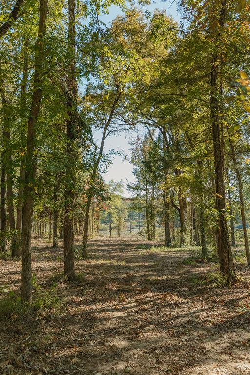 Heavenly Acres - Land