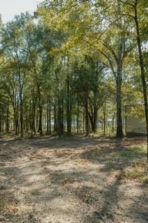 Heavenly Acres - Land