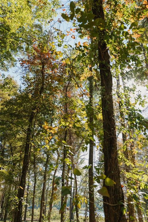 Heavenly Acres - Land