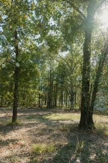 Heavenly Acres - Land