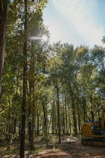 Heavenly Acres - Land