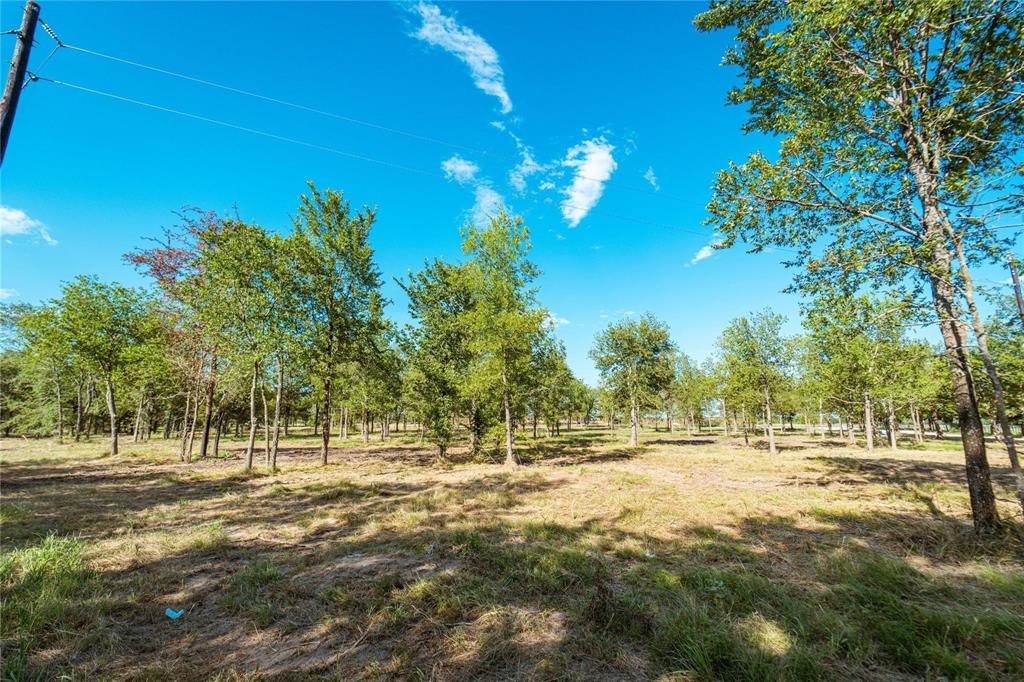 Lot 5 CR 297