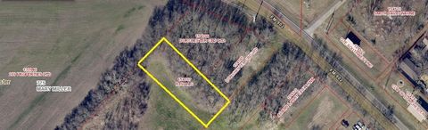 TBD Young Dorchester TX 75459