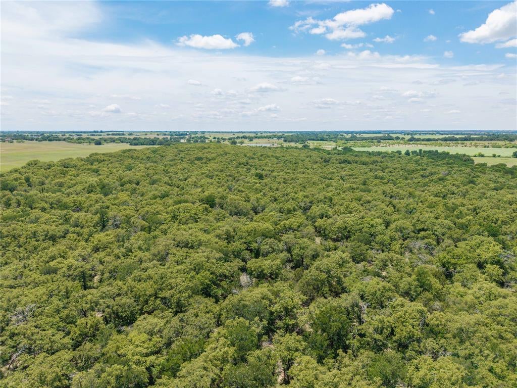 51.03 Acres Highway 16
