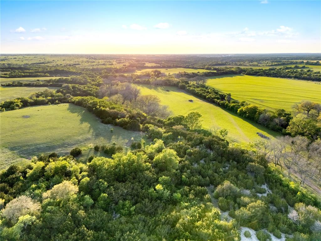 G H DeMoss, DP Brooks - Farm