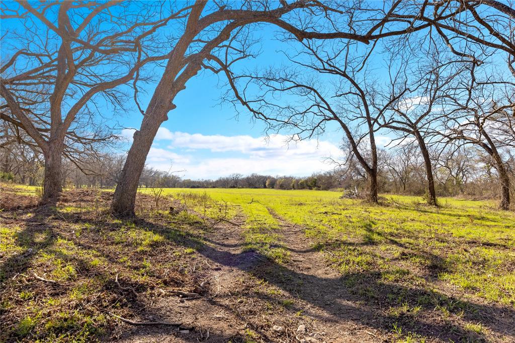 G H DeMoss, DP Brooks - Farm