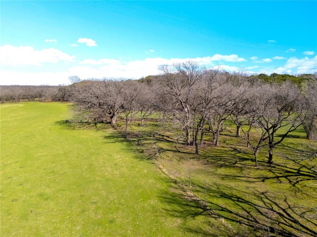 G H DeMoss, DP Brooks - Farm