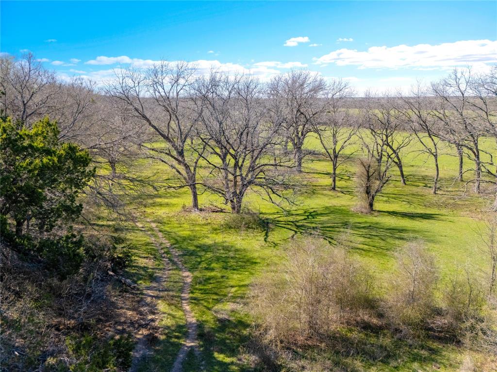 G H DeMoss, DP Brooks - Farm