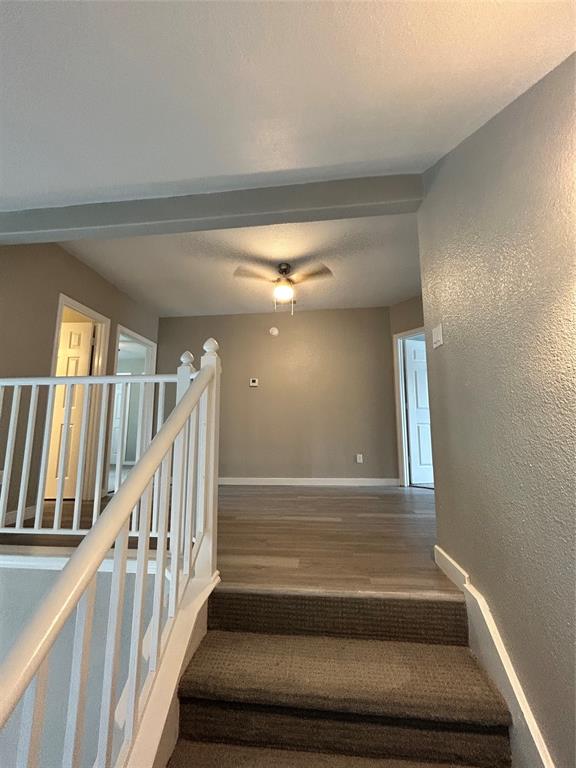 708 Purple Sage Trail