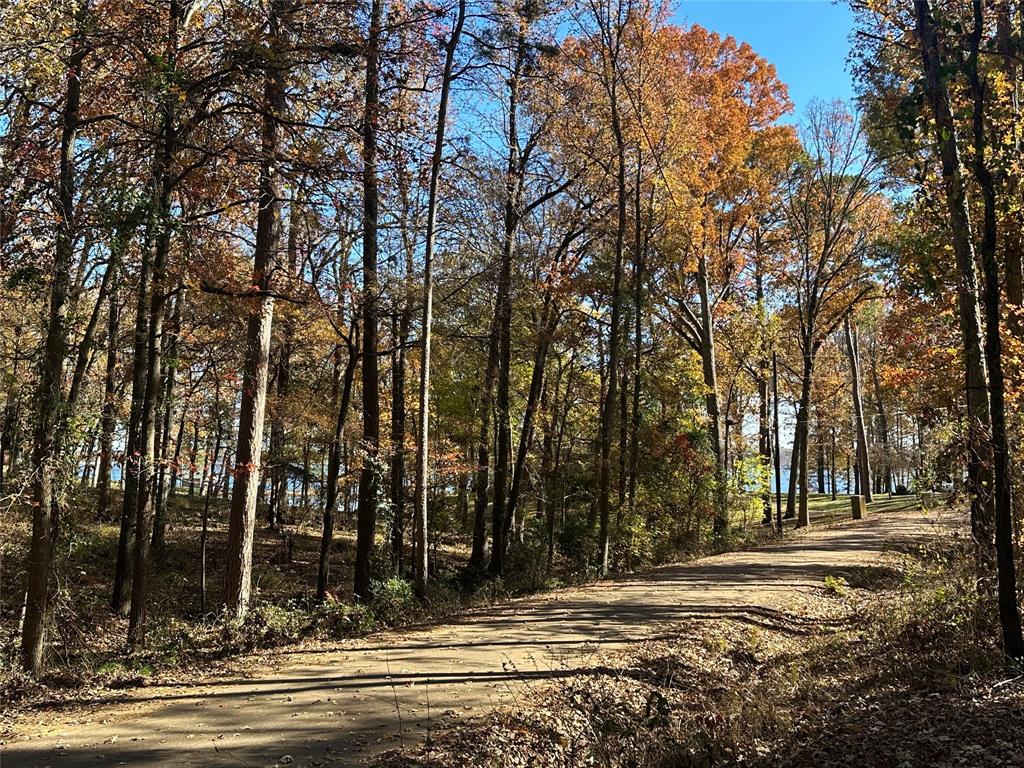 Hopes Landing - Land