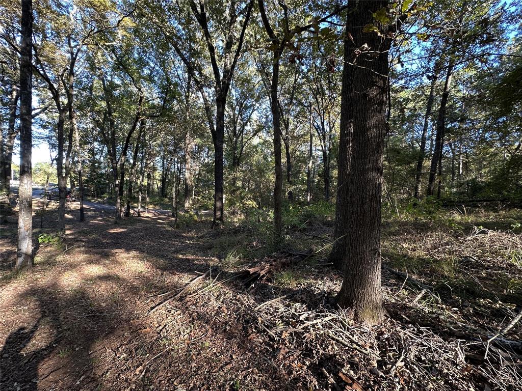 Hopes Landing - Land