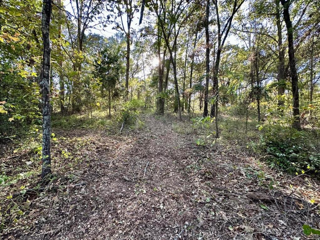 Hopes Landing - Land