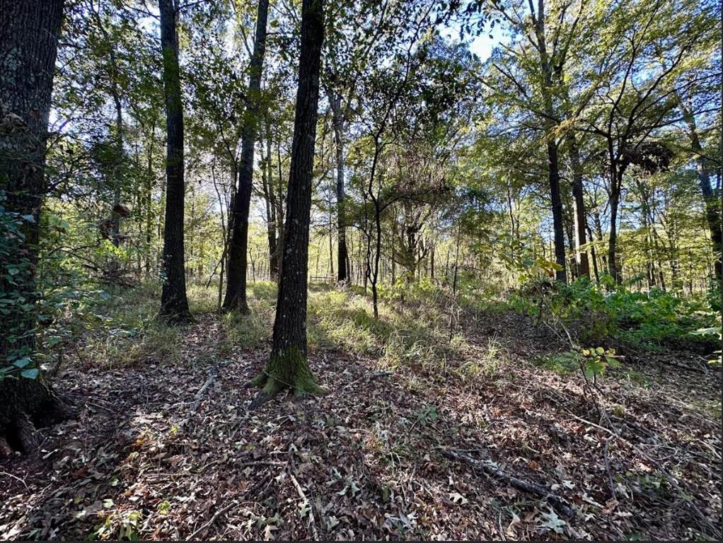 Hopes Landing - Land