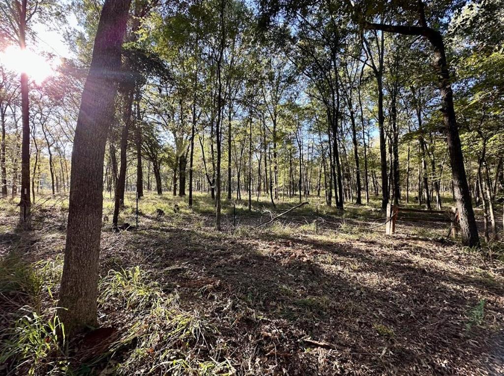 Hopes Landing - Land