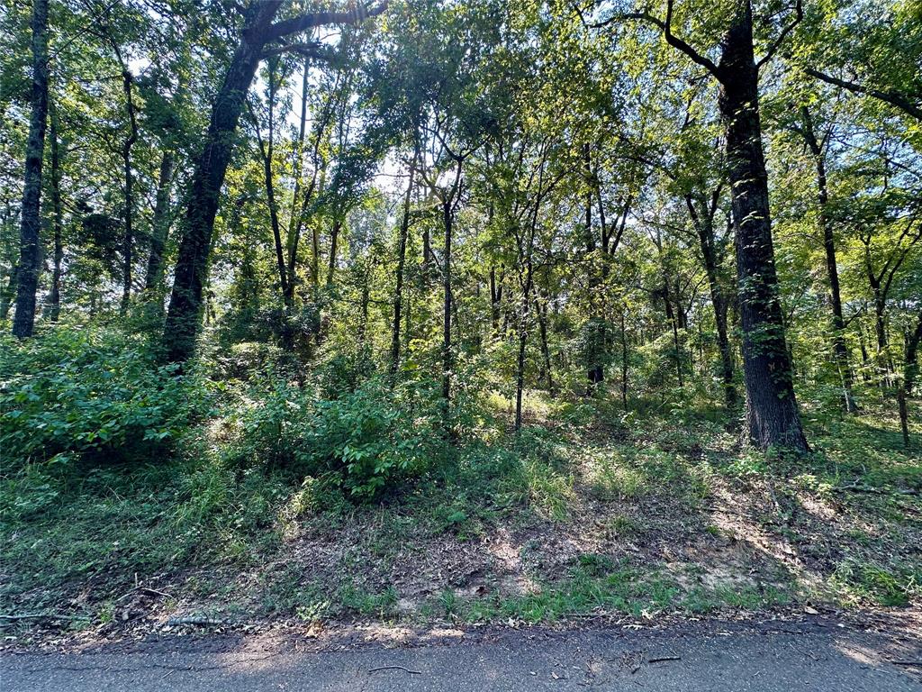 Hopes Landing - Land