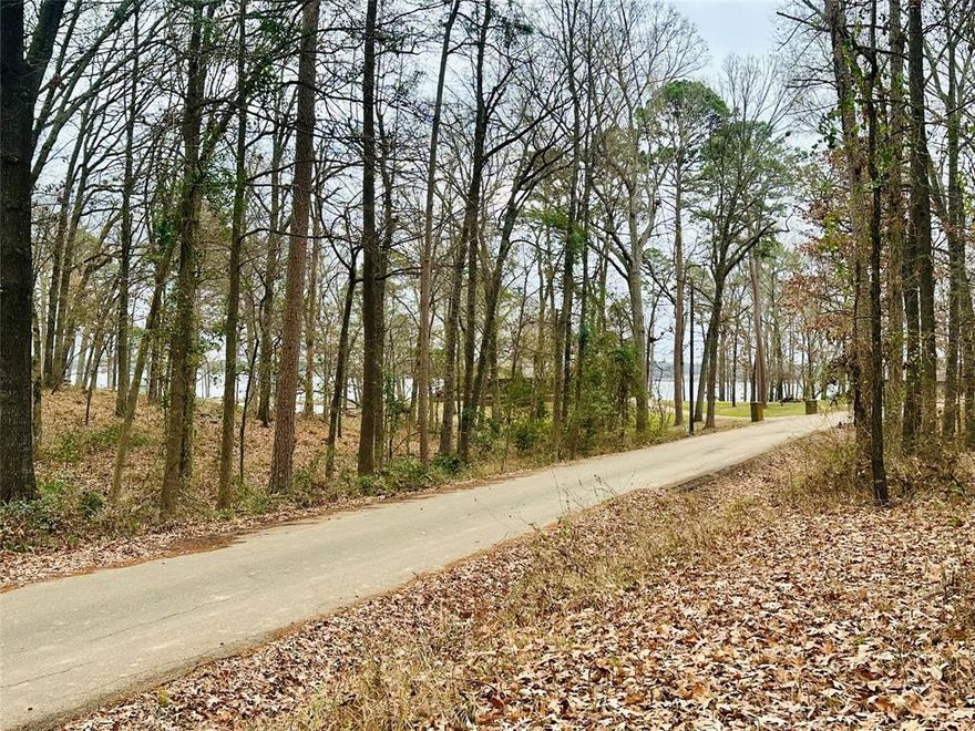 Are you ready to build your lake home in Hope’s Landing at Lake Bob Sandlin?! This welcoming, deed-restricted community is designed for easy, relaxed lake living and is ready to welcome you. Located on a quiet cul-de-sac, this wooded property offers a peaceful setting with mature trees that provide natural beauty and privacy, along with seasonal peek-a-boo views of the lake through the trees across the road. The lot(s) are ready for your custom vision—whether you’re planning a weekend escape or a full-time lake retreat. Homeowners enjoy access to a private community boat ramp, and trailer storage, making time on the water simple and convenient. With two additional boat launches just minutes away, boating and fishing are always within easy reach. If you'd like extra space, MLS #21148292 offers the opportunity to purchase the adjacent lot and create a spacious 1.15-acre homesite to bring your lake home plans to life. Hopes Landing community is perfectly situated mid-lake and conveniently located to Mt. Vernon, 
Mt. pleasant, and Pittsburg.