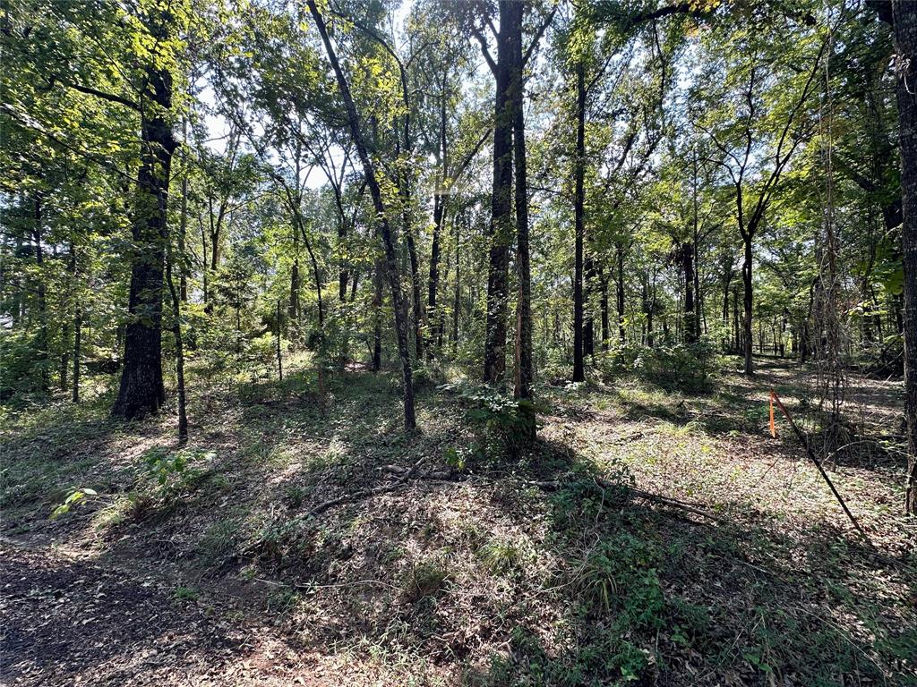 Hopes Landing - Land