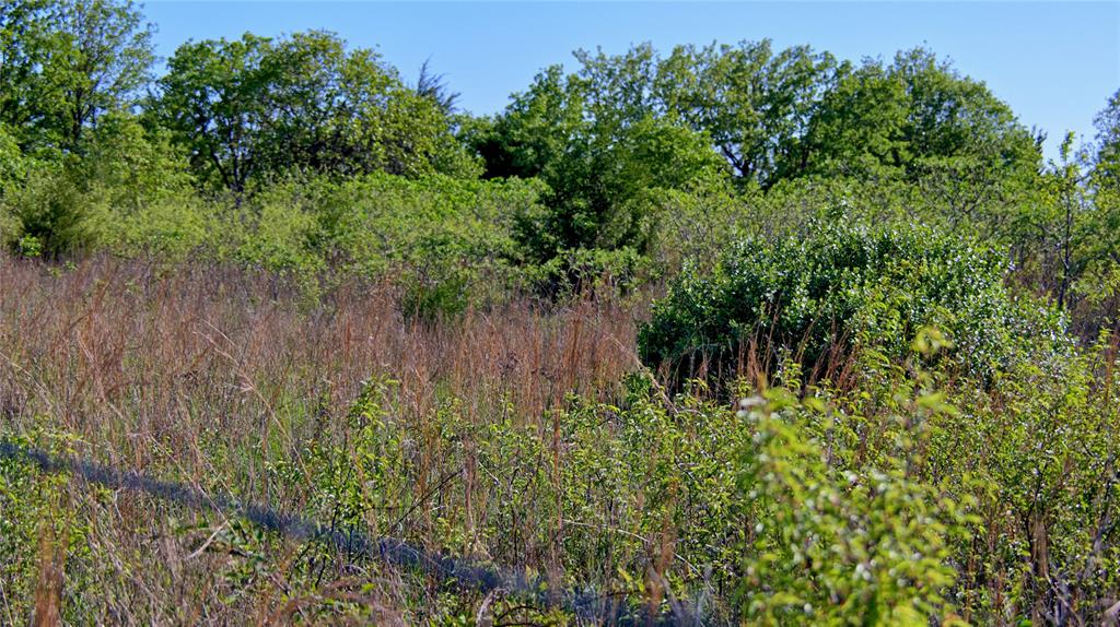 Seale & Forwood Surv A-98 - Farm