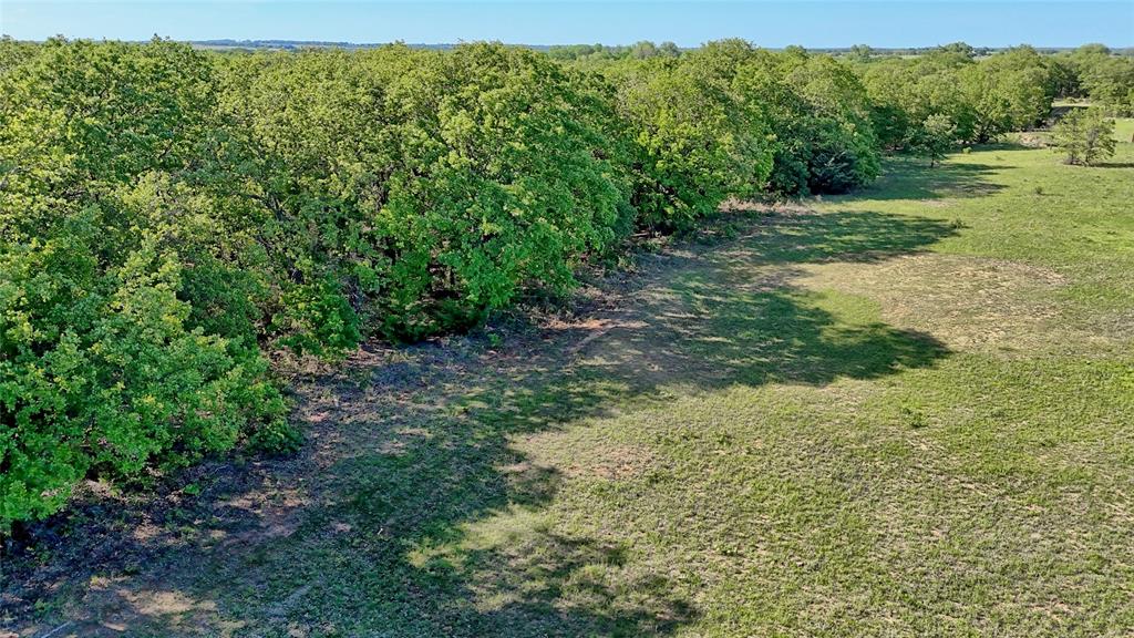 Seale & Forwood Surv A-98 - Farm