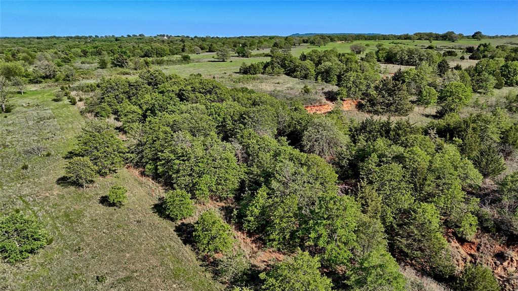 Seale & Forwood Surv A-98 - Farm