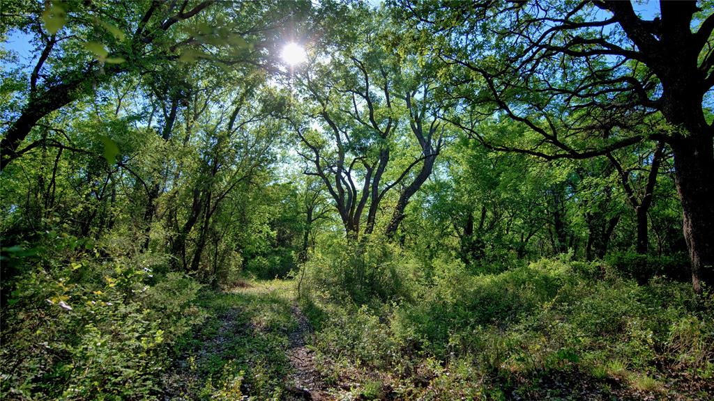 Seale & Forwood Surv A-98 - Farm