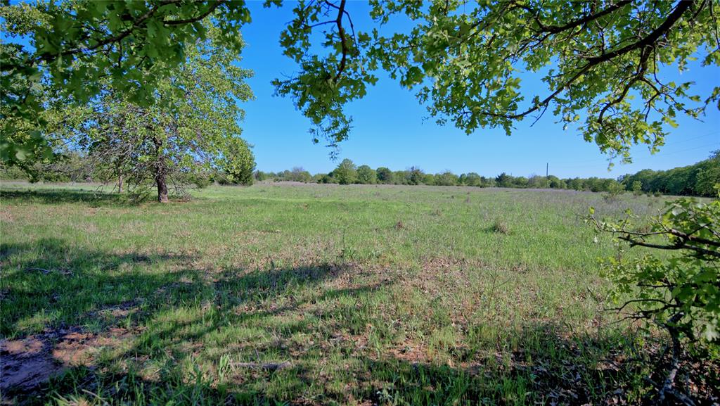 Seale & Forwood Surv A-98 - Farm