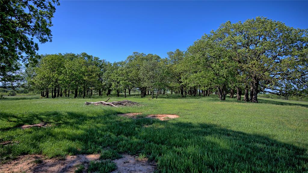 Seale & Forwood Surv A-98 - Farm