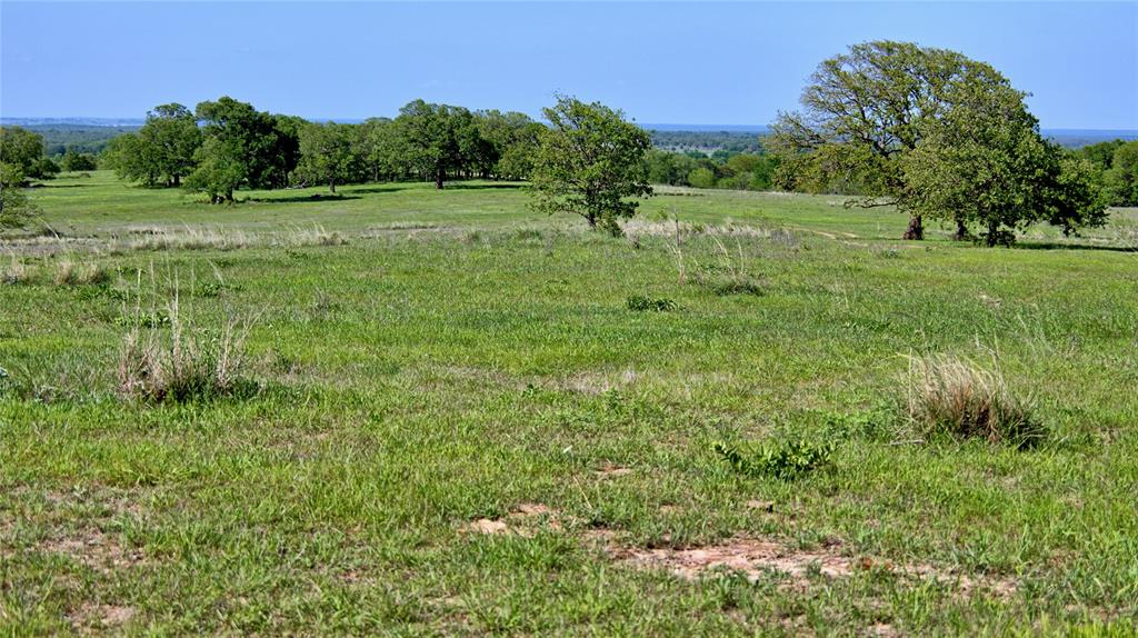 Seale & Forwood Surv A-98 - Farm