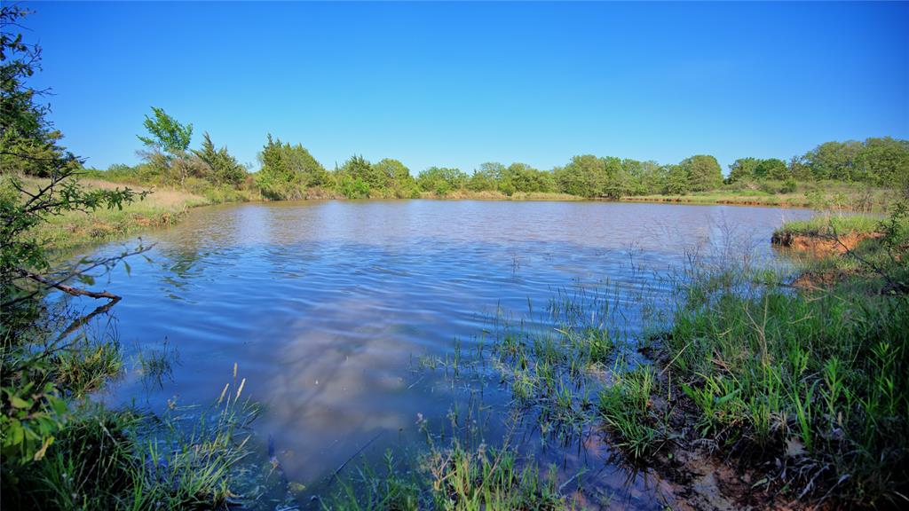 Seale & Forwood Surv A-98 - Farm