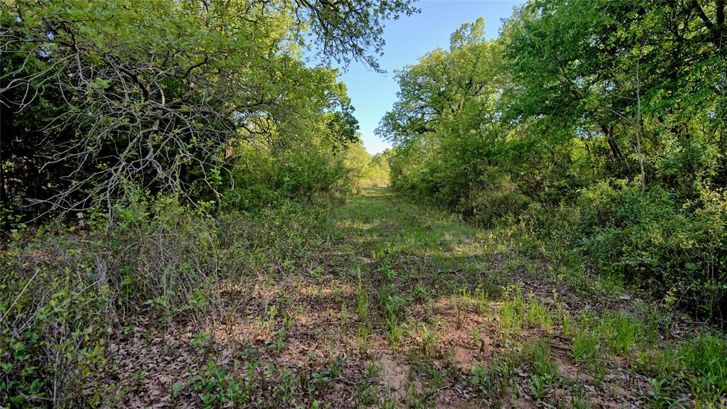 Seale & Forwood Surv A-98 - Farm