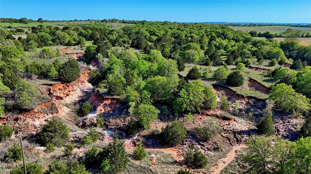 Seale & Forwood Surv A-98 - Farm