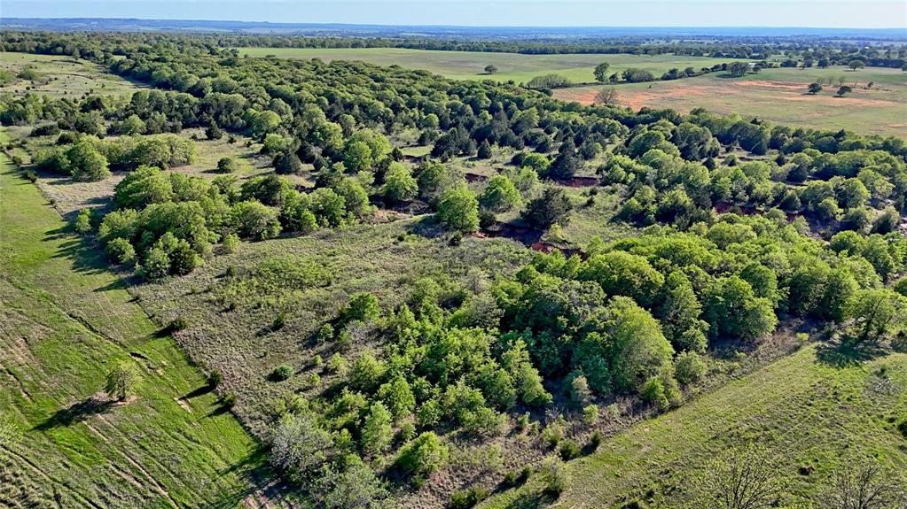 Seale & Forwood Surv A-98 - Farm