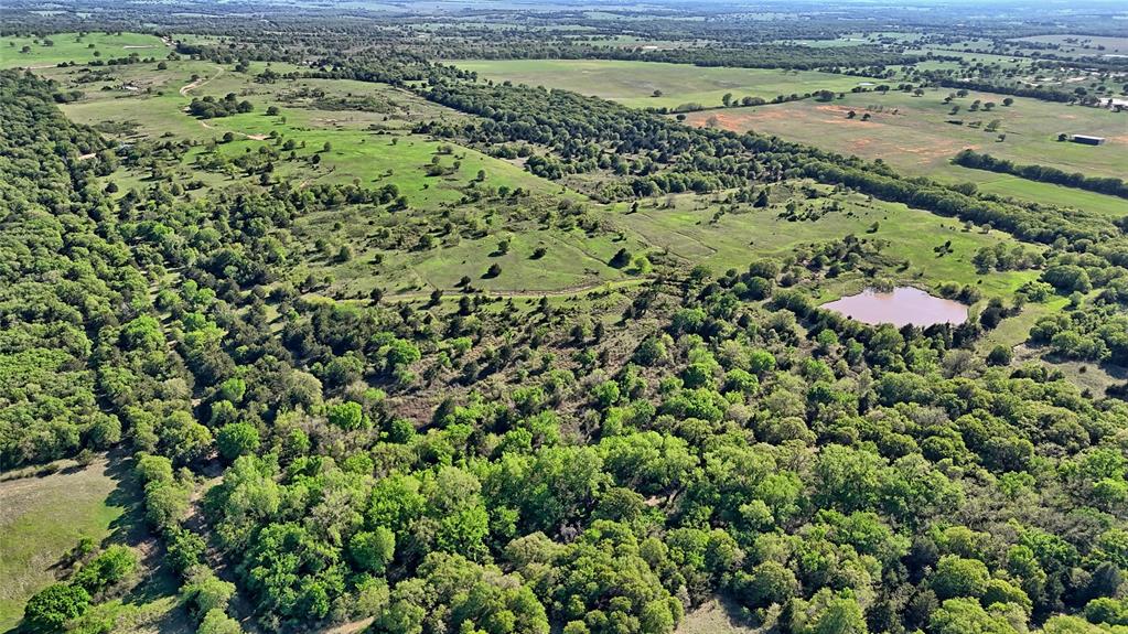 Seale & Forwood Surv A-98 - Farm