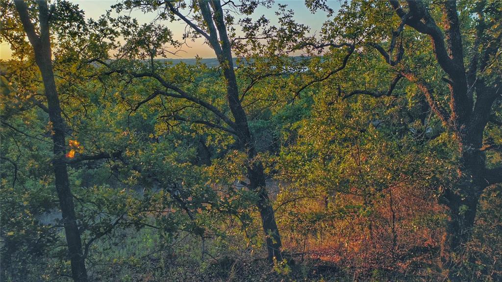 Nocona Hills - Residential