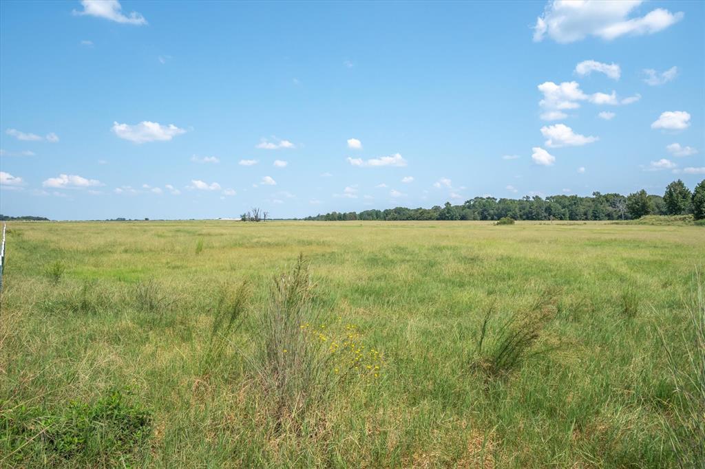 Acres 15.767, ABST: 137, SUR: T CAYCE - Land