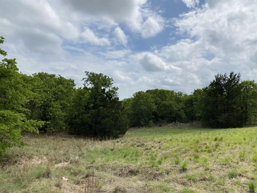 24.99 Acres, James Winn Survey, A-868 - Farm