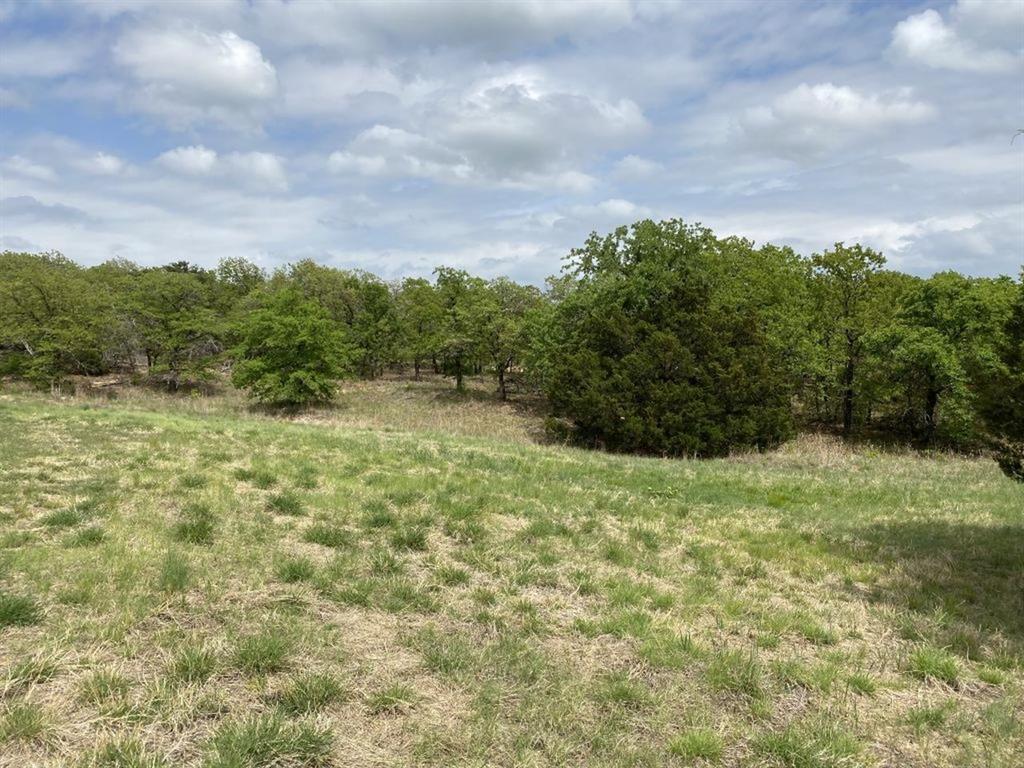 24.99 Acres, James Winn Survey, A-868 - Farm